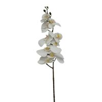Orquidea Artificial con 9 Pétalos Silicona BG310035-1BL FLORIPASTORE