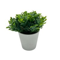 Florero de Ruda de 15cm 00129-1 FLORIPASTORE