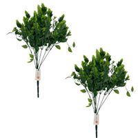 Pack de 2 Ramas de Hojas de Sophorae 00128 FLORIPASTORE