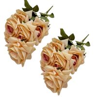 Set de 2 Bouquets De Rosas Diamante X7 BG307007-BE FLORIPASTORE