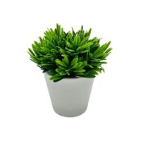 Florero de Pino de 15cm 00133-B FLORIPASTORE