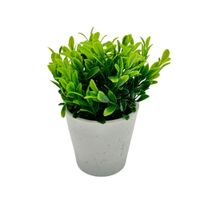 Florero de Eucalipto 00130-1 FLORIPASTORE