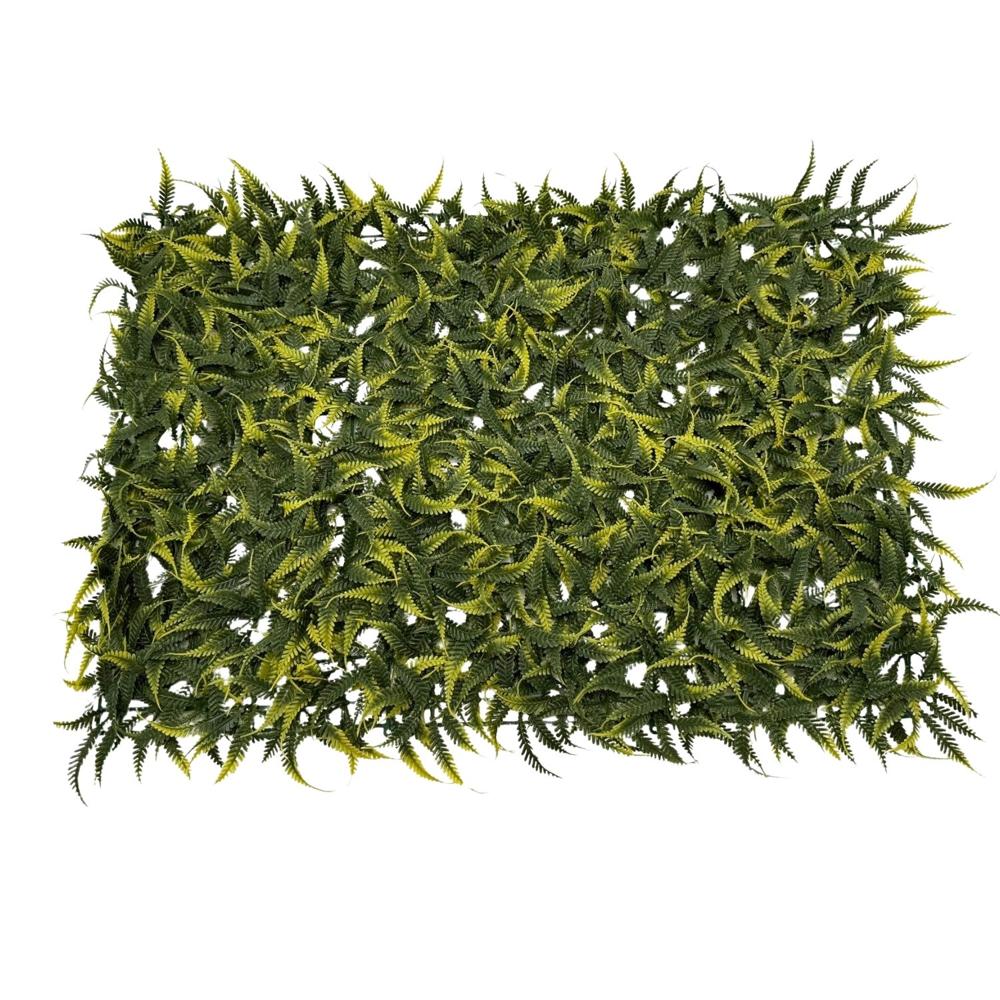 imageUrl_1 imageUrl_1