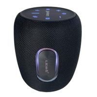 Parlante Bluetooth 5.2 LIDIMI 50W X-BASS Ecualizador Sodino Dual LD613