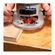 imageUrl_6
