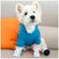 imageUrl_2