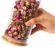 imageUrl_2