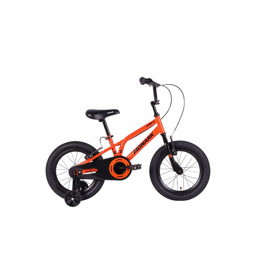 Freestyle Bicicleta Mountain Bike Rodado 20 Usada Bici Bmx Rodado