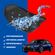 imageUrl_6
