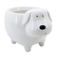Maceta Cerámica Perro Orange Blanco 14.5cm