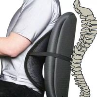 Respaldo Ergonómico Corrige Postura Negro