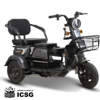Trimoto Eléctrica Ronco Flex 8.0 de 3 Ruedas