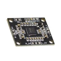Mini Placa Amplificador de Audio Stereo Digital Doble Canal PAM8610