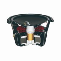 Subwoofer Serie Champion Pioneer TS-W3004D4