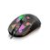 imageUrl_4