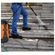 imageUrl_12