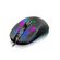imageUrl_4