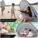 imageUrl_12