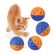 imageUrl_4