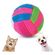 imageUrl_4