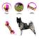 imageUrl_3