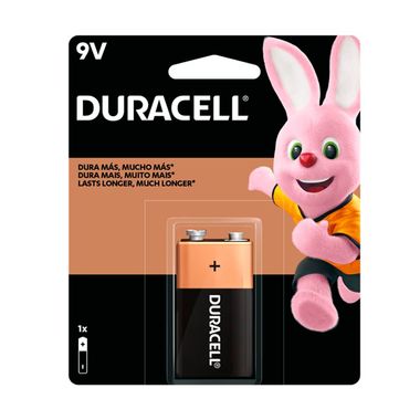 Pilas Alcalinas - Duracell - AA - 2 Unidades - - Tienda En Línea