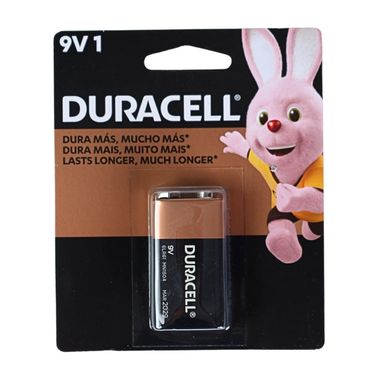 Pilas Alcalinas - Duracell - AA - 2 Unidades - - Tienda En Línea