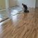 imageUrl_4