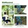 imageUrl_4