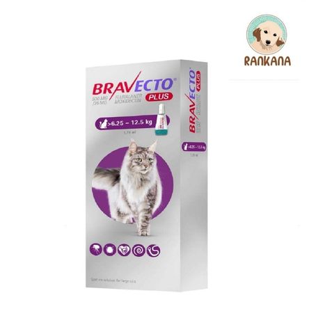 image-8917413d234f4fc298b95b6e939ff57b