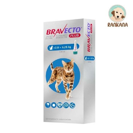 image-f767b9b10360404490d480ee972ad2d1 image-f767b9b10360404490d480ee972ad2d1