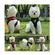 imageUrl_4