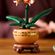 imageUrl_4