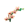imageUrl_3