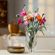 imageUrl_4