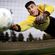 imageUrl_3