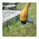 imageUrl_5