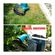 imageUrl_7