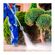 imageUrl_4