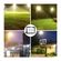imageUrl_6