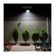imageUrl_7
