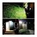 imageUrl_6