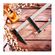 imageUrl_5