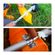 imageUrl_8