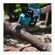 imageUrl_6