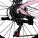 imageUrl_4