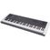 imageUrl_1