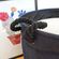imageUrl_5