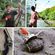 imageUrl_6