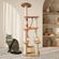 imageUrl_1